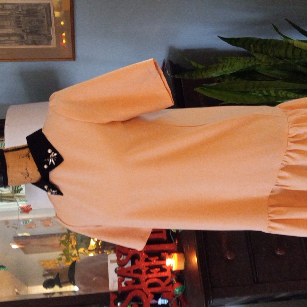 Zara Basic Blush Pink Peter Pan Jewel Embellished Collar Drop Waist Dress